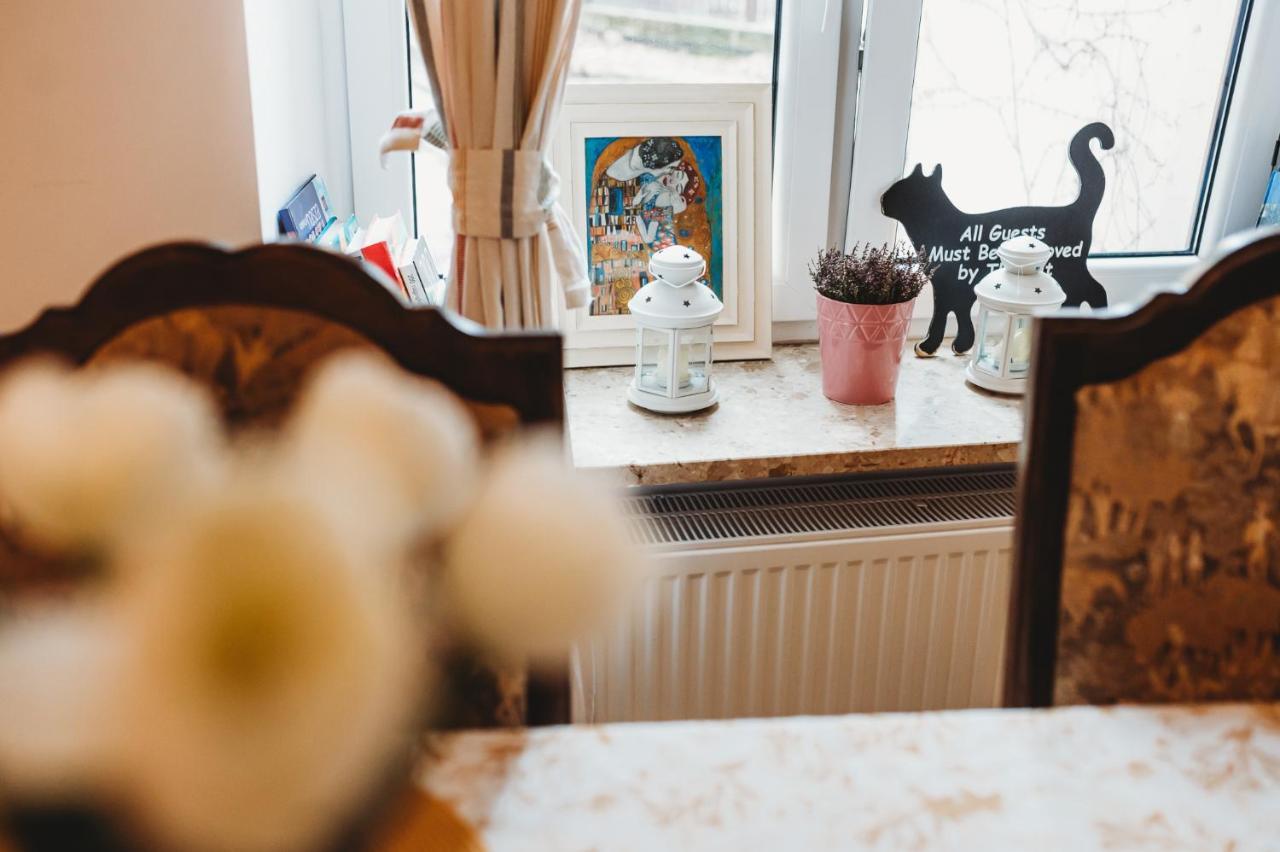 Fatcat Apartments Krasków Εξωτερικό φωτογραφία
